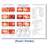 Preliminary Orthodontic Evaluation in Spanish